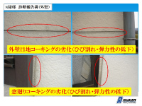 shindan (6) shindan-62