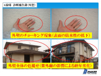 shindan (7) shindan-72
